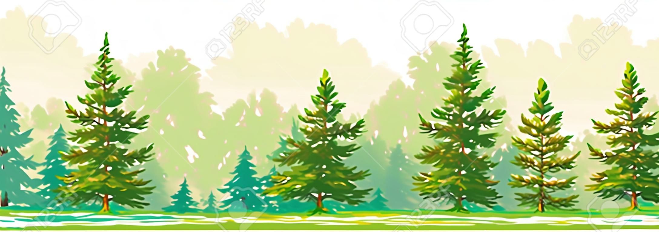 Border of a forest with young fir and pine trees. Vector graphic. EPS8