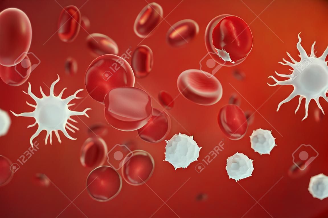 Globuli rossi, leucociti o globuli bianchi, sono le cellule del sistema immunitario, l'infezione. Concetto medico dell'essere umano. illustrazione 3D.