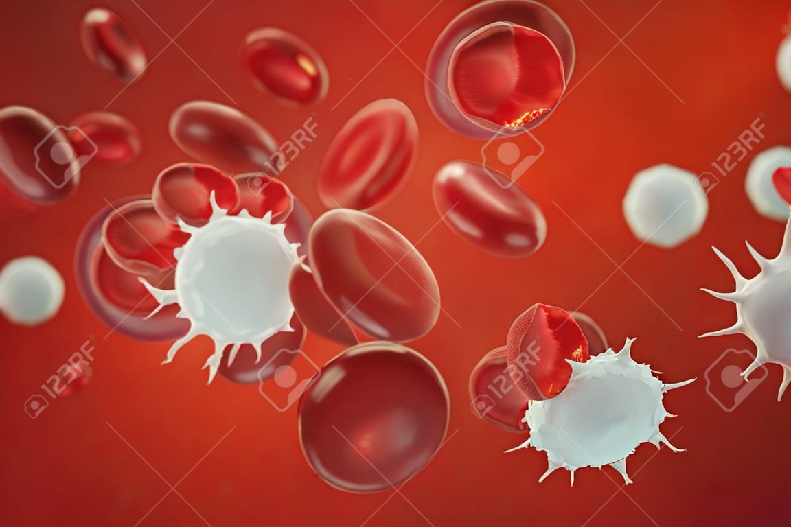Globuli rossi, leucociti o globuli bianchi, sono le cellule del sistema immunitario, l'infezione. Concetto medico dell'essere umano. illustrazione 3D.