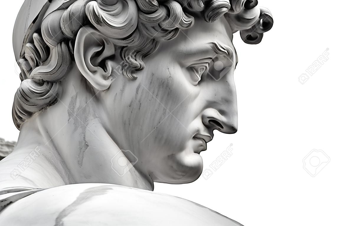 Head of a famous statue by Michelangelo - David from Florence, isolated on white
