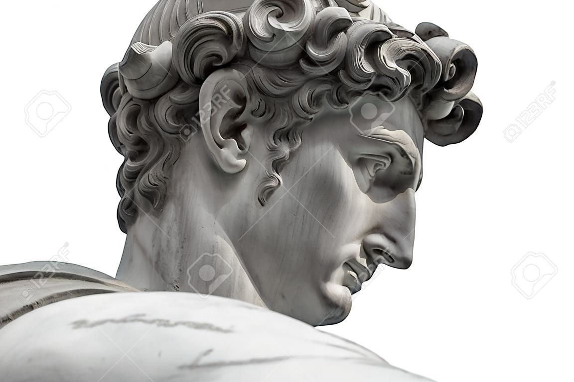 Hoofd van een beroemd standbeeld van Michelangelo - David uit Florence, geïsoleerd op wit