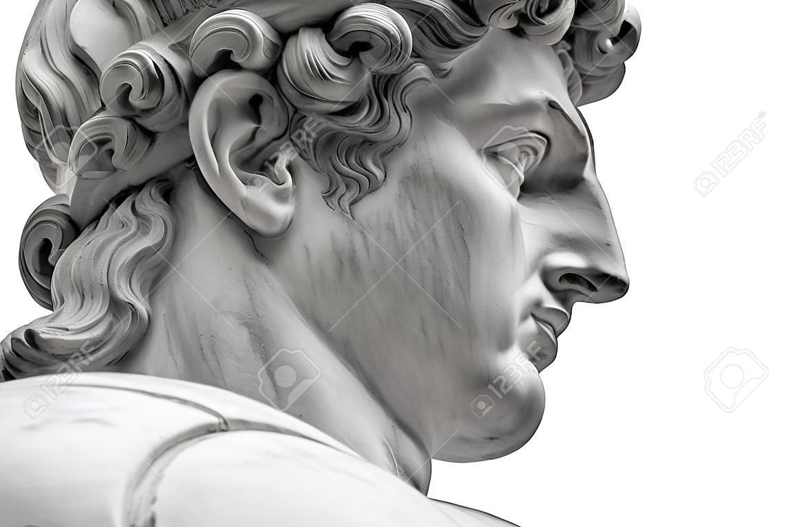 Hoofd van een beroemd standbeeld van Michelangelo - David uit Florence, geïsoleerd op wit