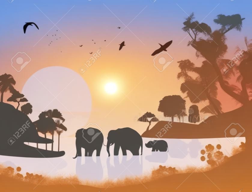 Elefántok úszik a vízben napnyugtakor, a vektoros illusztráció