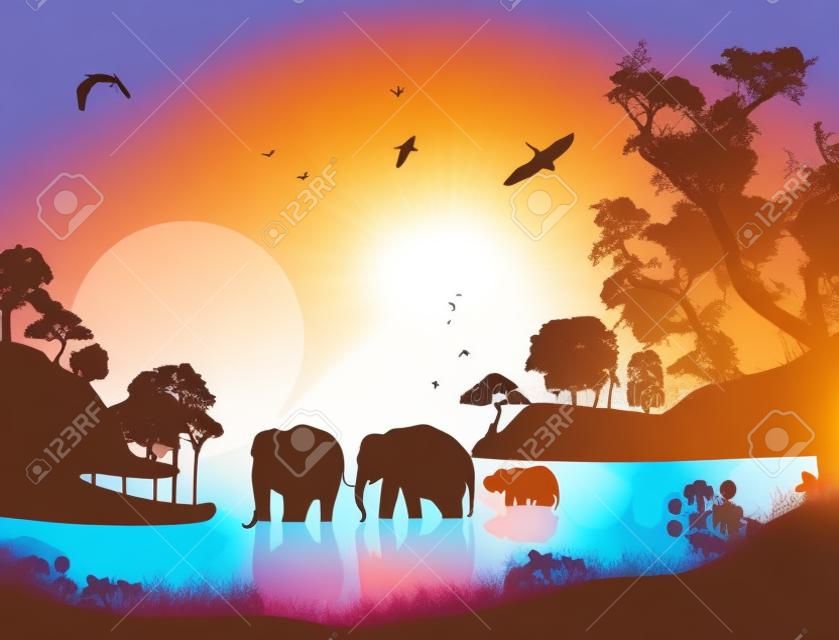 Elephants swims through the water at sunset, vector illustration