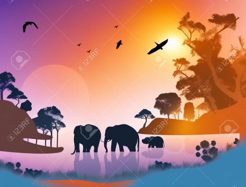 Elefanti nuota attraverso l'acqua al tramonto, illustrazione vettoriale
