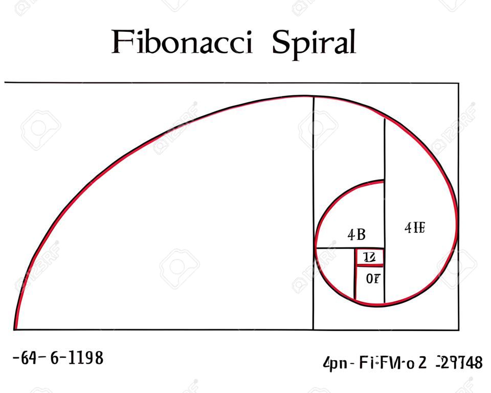 A espiral de Fibonacci (também conhecida como a espiral dourada) com fórmulas básicas sobre fundo branco