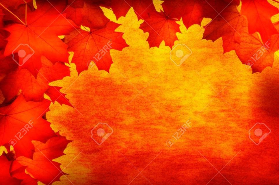 Autumn leaves frame