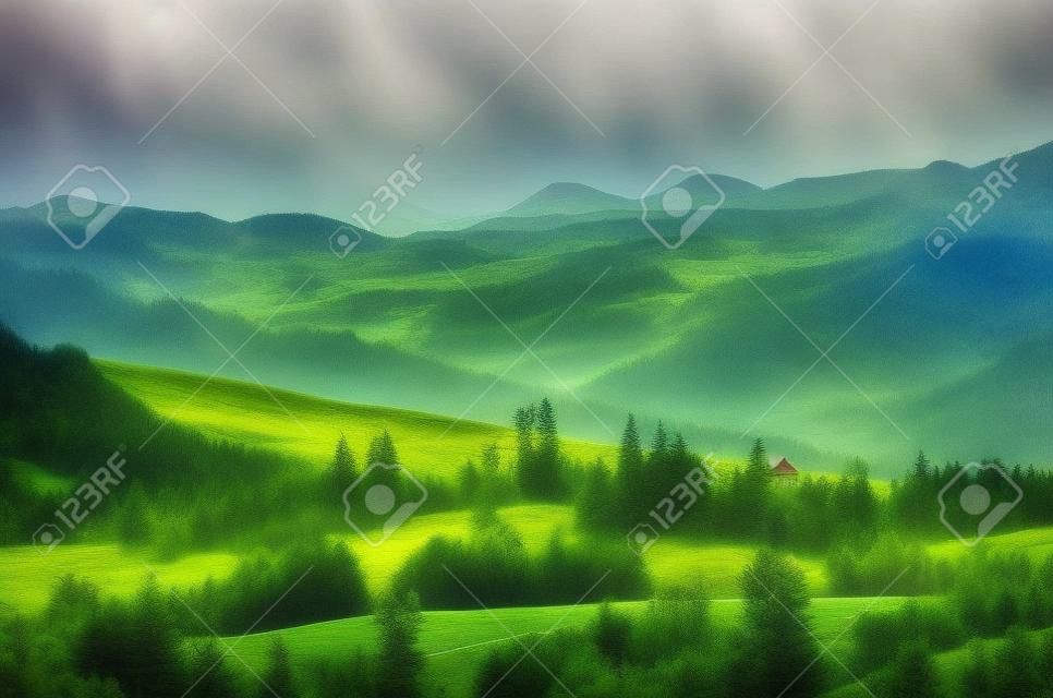 Karpaten berglandschap