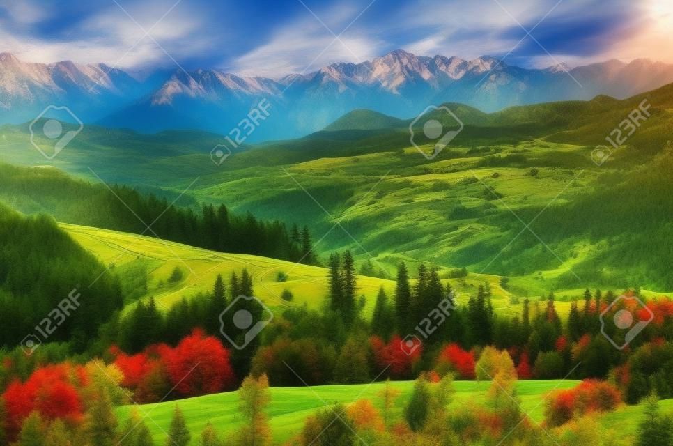 Paysage de montagne des Carpates