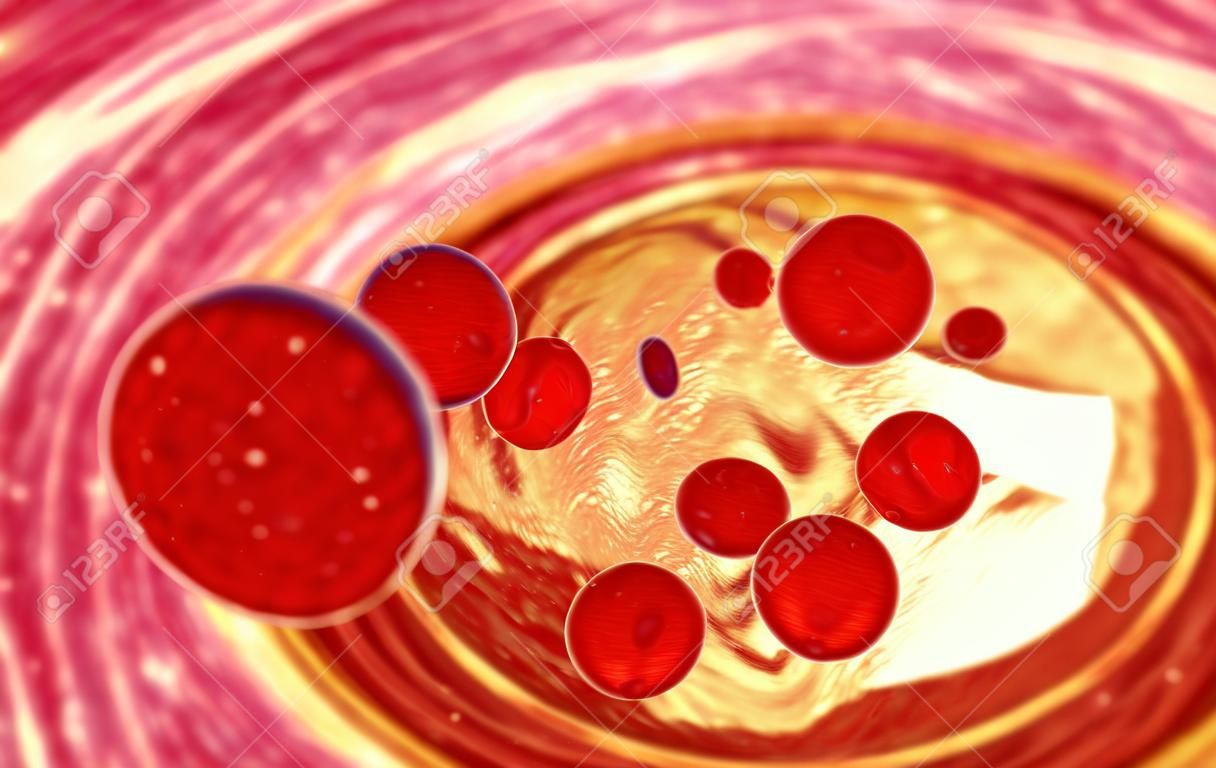 Illustration de globules rouges dans le détail élevé