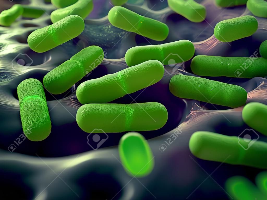 Illustration of bacteria cells
