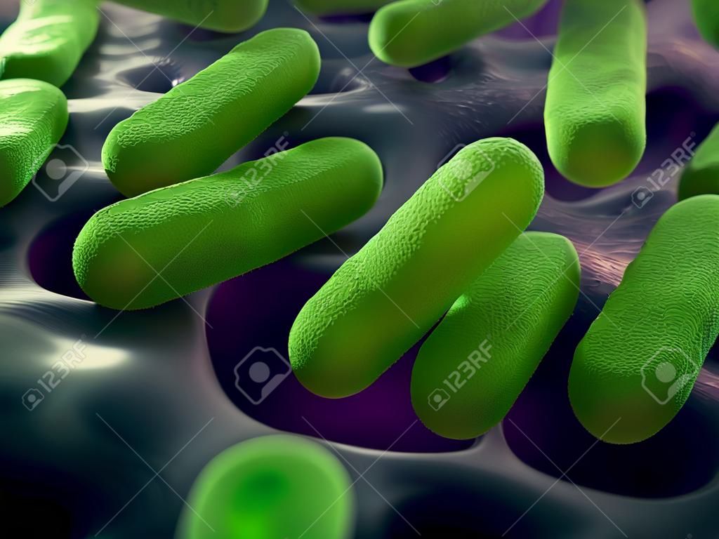 Illustration of bacteria cells