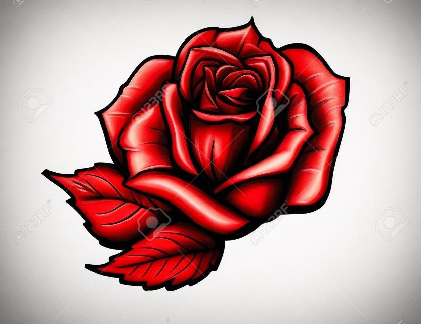 白色背景下的红玫瑰卡通风格