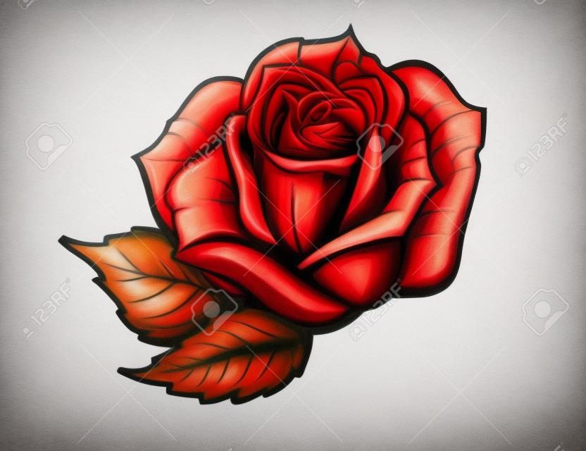 白色背景下的红玫瑰卡通风格