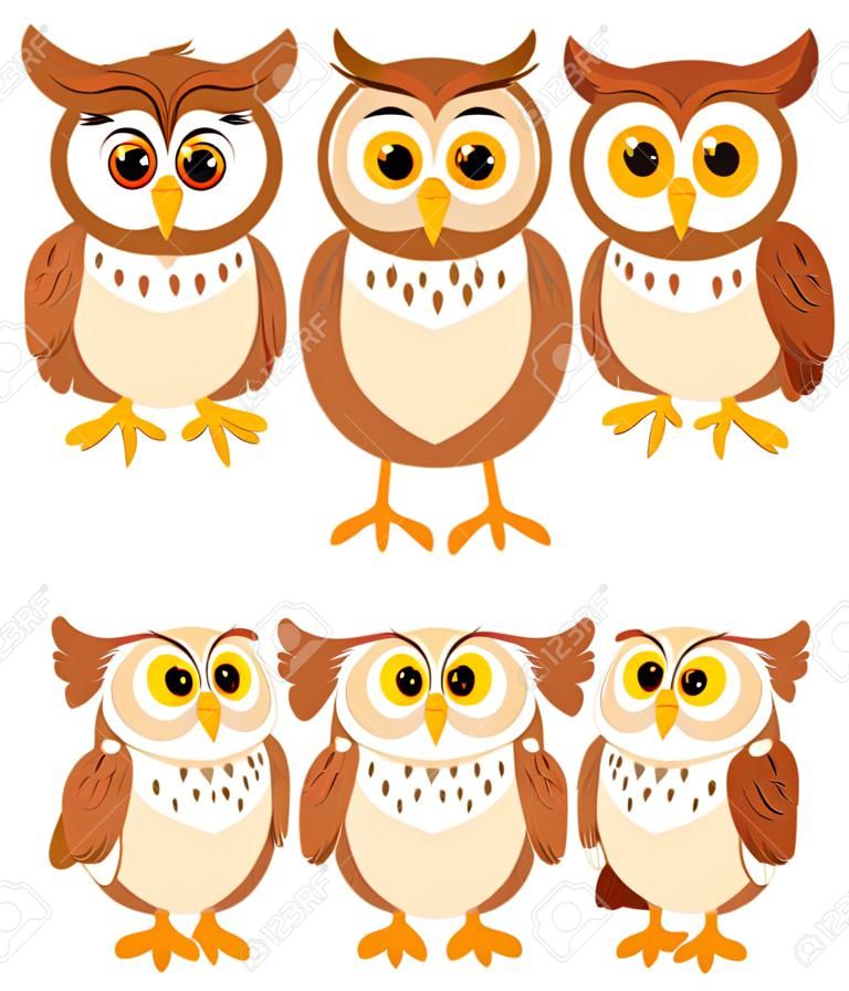 Cartoon owl different expressions. Illustration