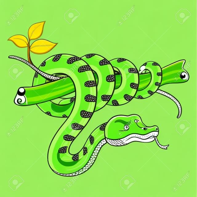 Fumetto dell'illustrazione del serpente verde sveglio sul ramo.