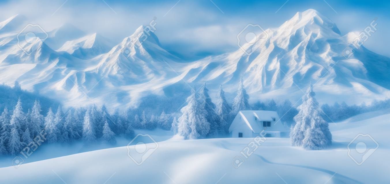 winter landscape 