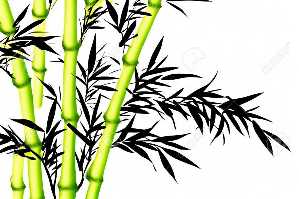 bamboo leaf , traditional chinese calligraphy art isolated on white background.
