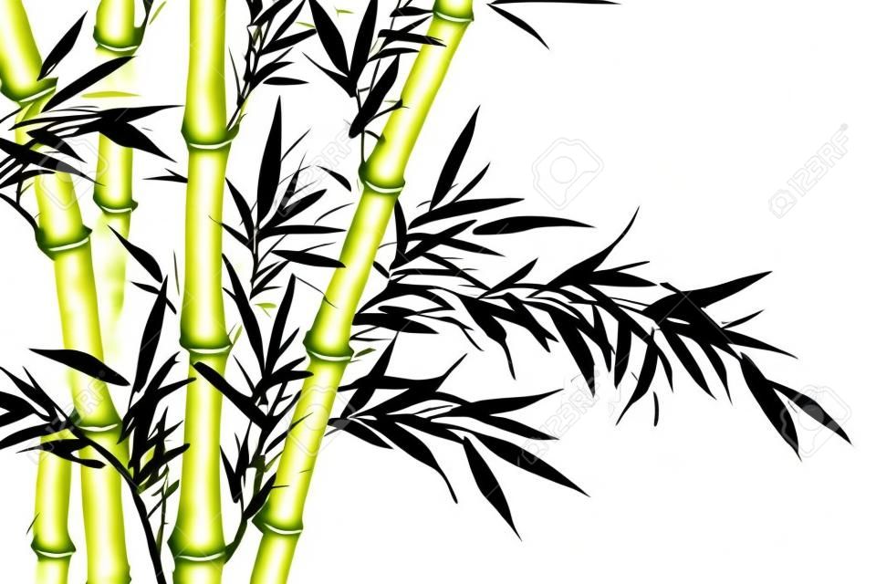 hojas de bambú, arte de la caligrafía china tradicional aislada sobre fondo blanco.
