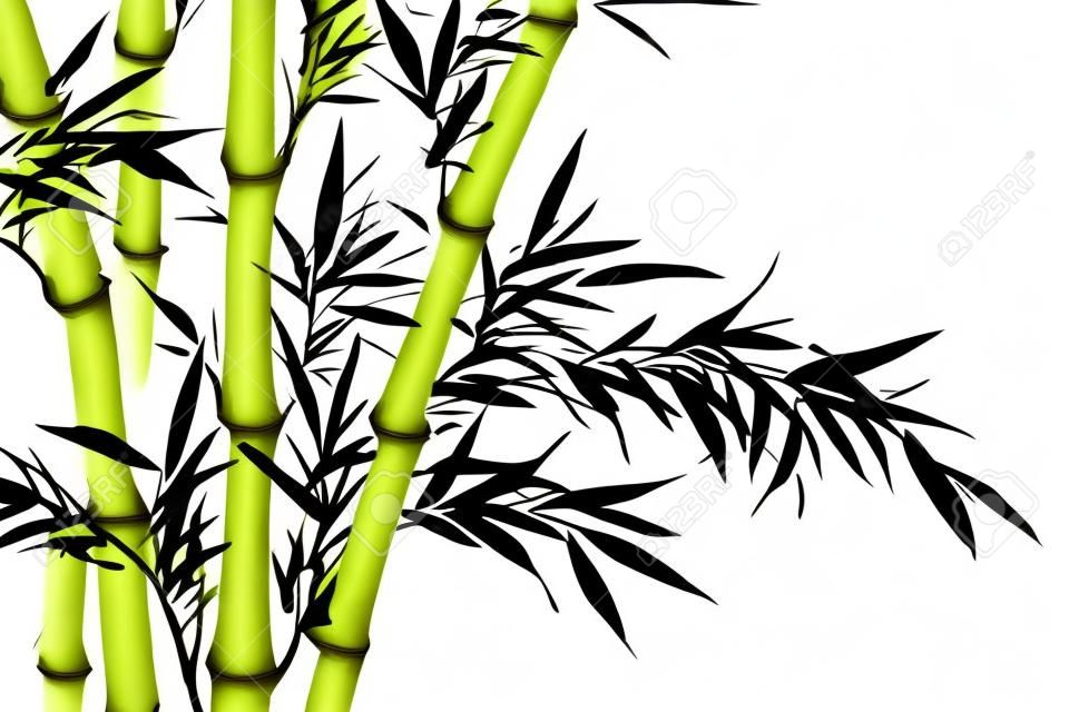 hojas de bambú, arte de la caligrafía china tradicional aislada sobre fondo blanco.