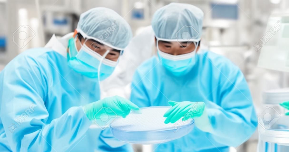 Zwei asiatische Techniker in sterilen Overalls halten Wafer mit Handschuhen, die viele verschiedene Farben widerspiegeln, und überprüfen ihn in der Halbleiterfertigungsanlage