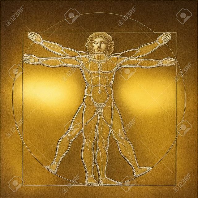 Leonardos Vitruvian Man