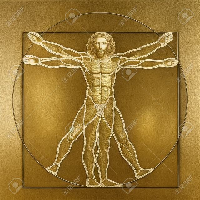 Leonardos Vitruvian Man