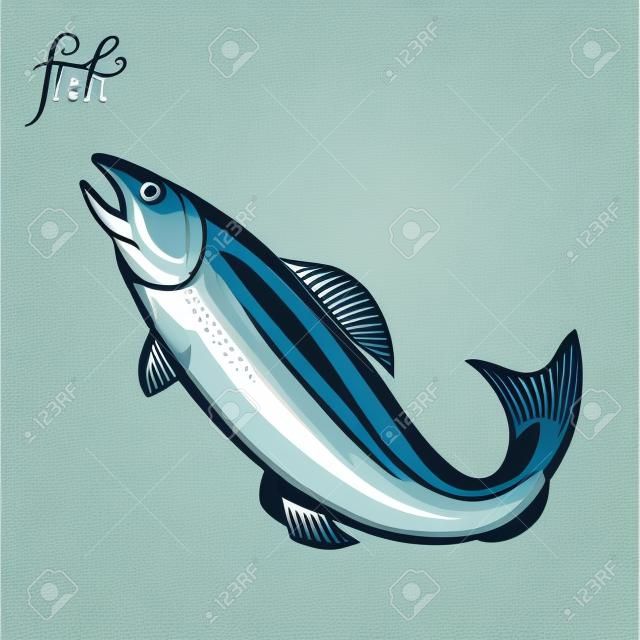 Fisch. Meeresfrüchte. Vektor-Illustration. Isoliertes Bild auf weißem Hintergrund. Vintage-Stil.