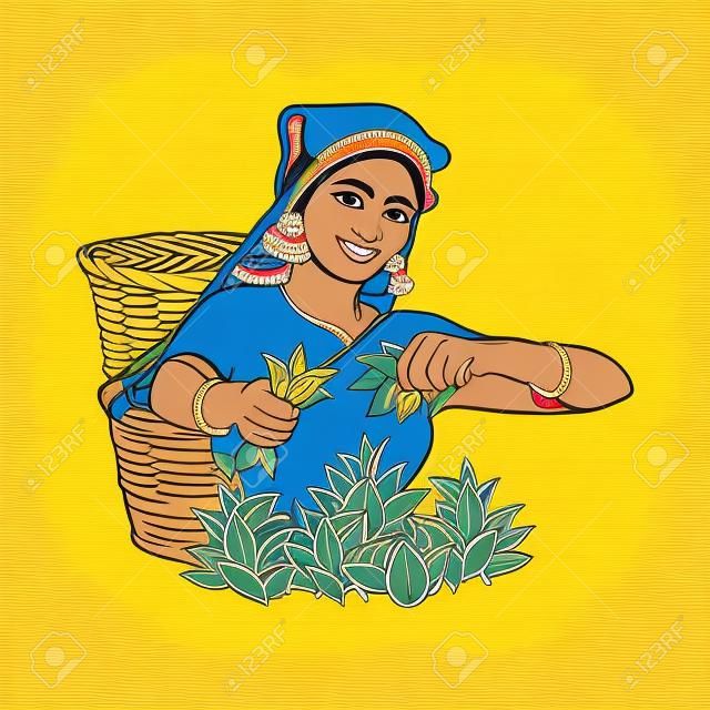 вектор эскиз мультфильм индийской Шри-Ланка местная женщина, собирающая чай в традиционном стиле, улыбаясь в большой плетеной корзине. Традиционно одетый женский персонаж, рисованная Шри-Ланка, индийские символы
