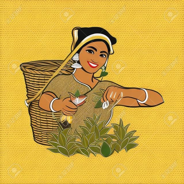 벡터 스케치 만화 인도 스리랑카 큰 여자 큰 바구니에 웃 고 전통 방식으로 차를 수집합니다. 전통적으로 옷을 입고 여성 캐릭터, 손으로 그려진 스리랑카, 인도 심볼