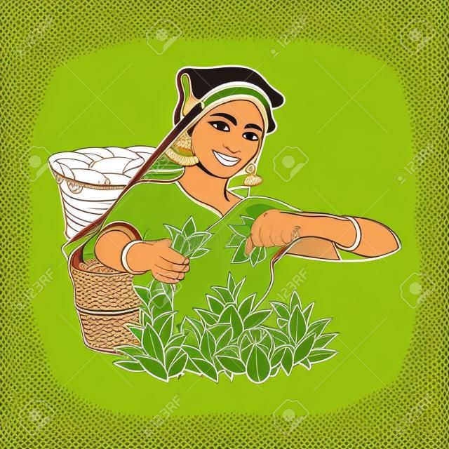 вектор эскиз мультфильм индийской Шри-Ланка местная женщина, собирающая чай в традиционном стиле, улыбаясь в большой плетеной корзине. Традиционно одетый женский персонаж, рисованная Шри-Ланка, индийские символы