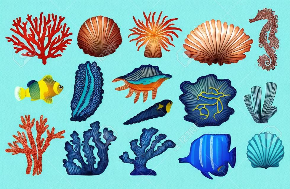 Vector tropical sea underwater corals, fish, shell and scallop set. Aquatic reef animals and plants. Hand drawn ocean flora and fauna collection. Isolated illustration