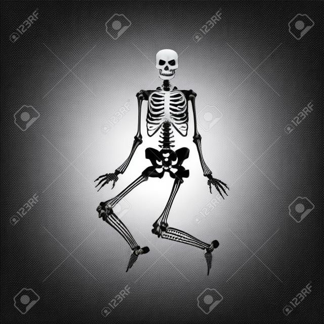 Vector divertido esqueleto humano bailando. Anatomía del cuerpo con cráneo, huesos divirtiéndose. Hombre muerto moviéndose en posición divertida. fiesta de halloween, decoración de diseño aterrador.