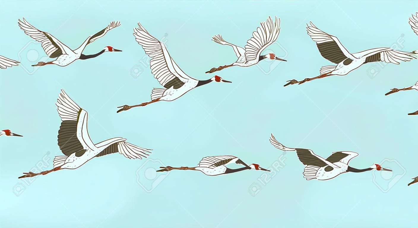 Flock of flying red-crowned cranes in sketch or hand-drawn style, vector illustration isolated on blue background. Migration of Japanese crane birds group or covey