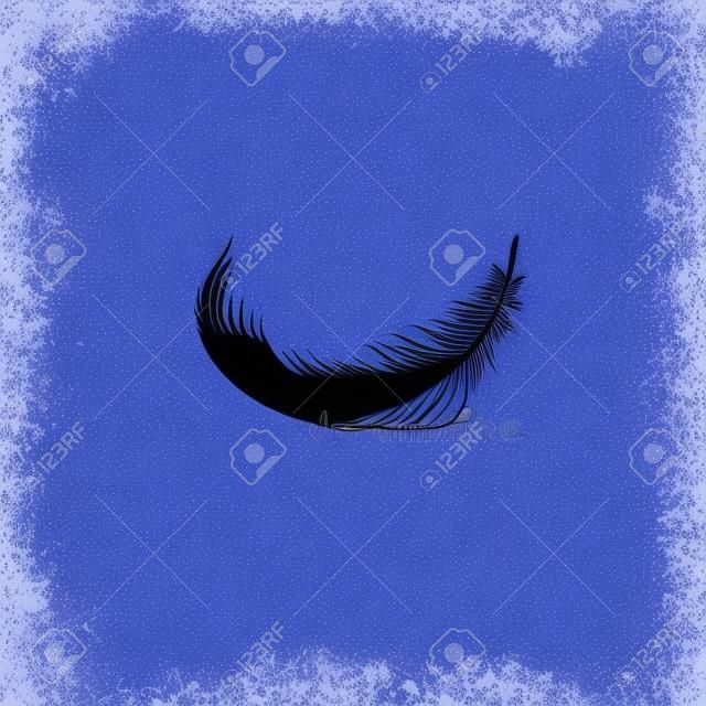 Estilo realista de pluma negra esponjosa curvada sola caída o flotando, ilustración vectorial aislado sobre fondo blanco. Una pluma de pájaro oscuro y suave flotando sobre la superficie y su sombra