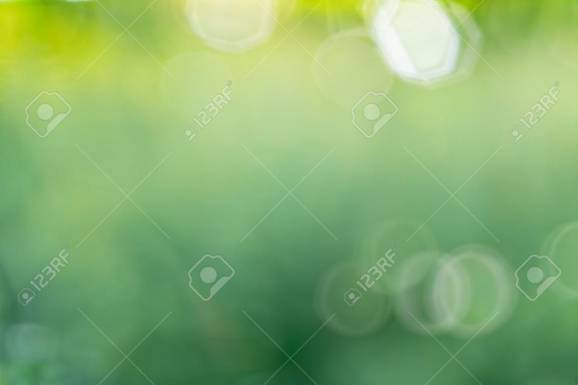 sfondo verde bokeh