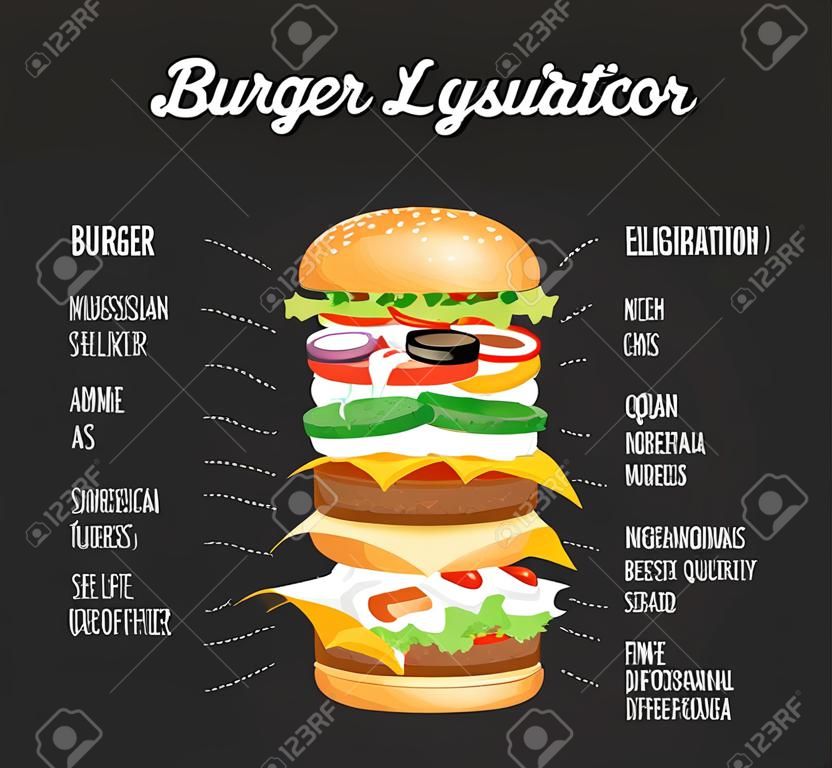 Burger layers illustration. Burger infographics