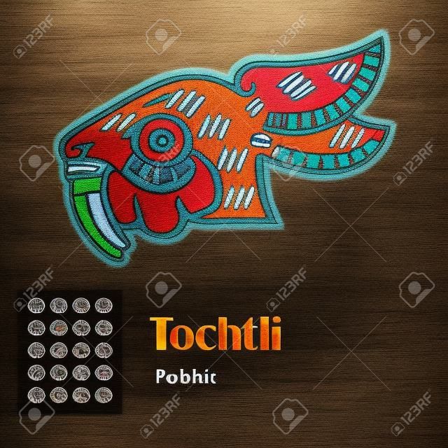 Aztec calendar symbols - Tochtli or rabbit  8 