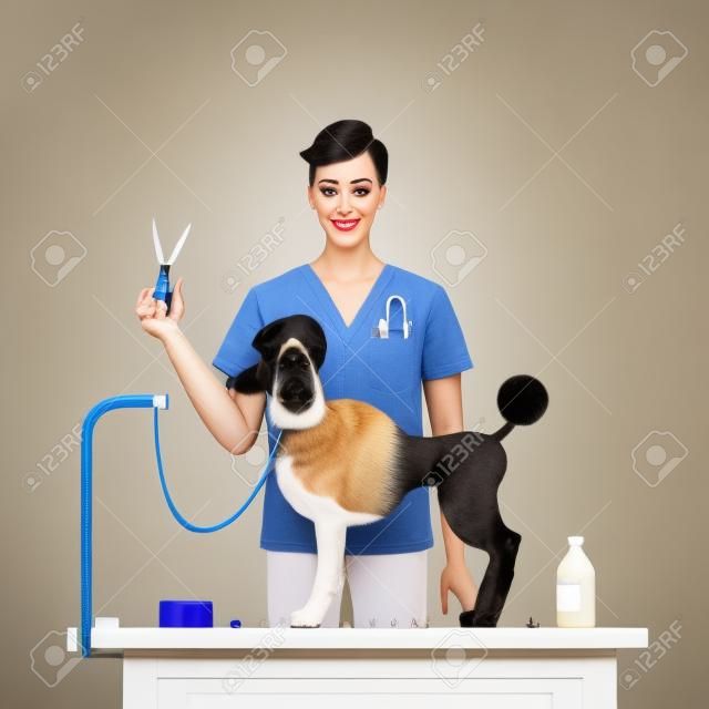 Dog grooming in the salon.