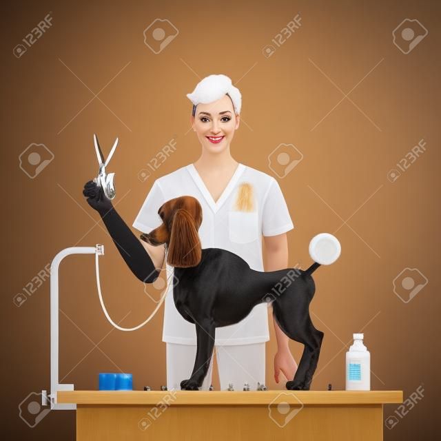 Dog grooming in the salon.