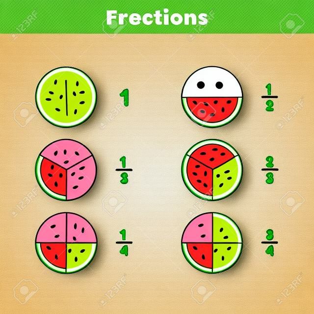 Fractions for kids. Math for prechool and school children. Watermelon.