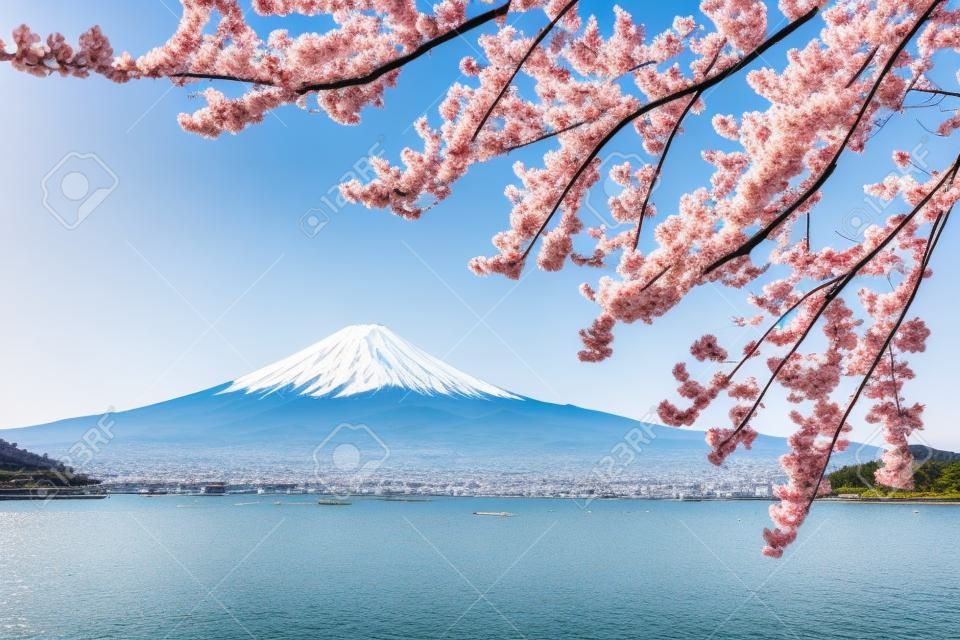 Flores de cerejeira em plena floração do Monte Fuji e Lago Kawaguchi