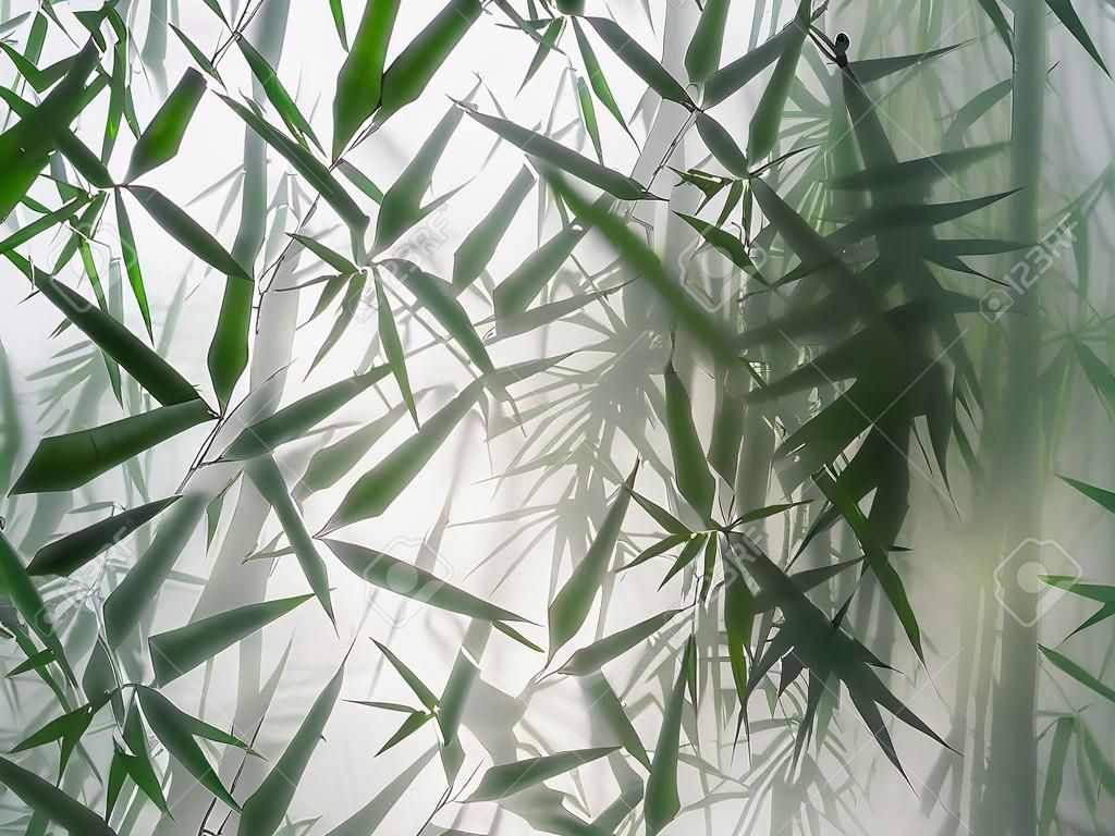 árvores de bambu tropicais atrás do vidro fosco em nevoeiro com retroiluminação. decoração de plantas verdes instalações, fundo. o design exótico natural.