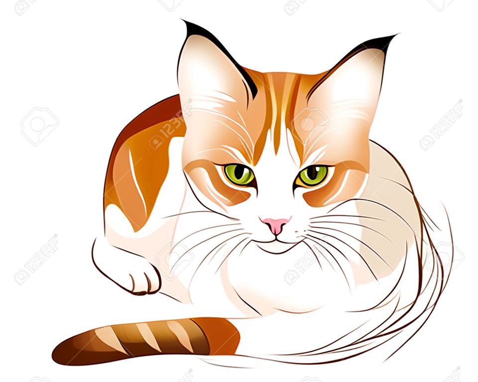 생강 tabby 고양이의 손으로 그려진 된 초상화