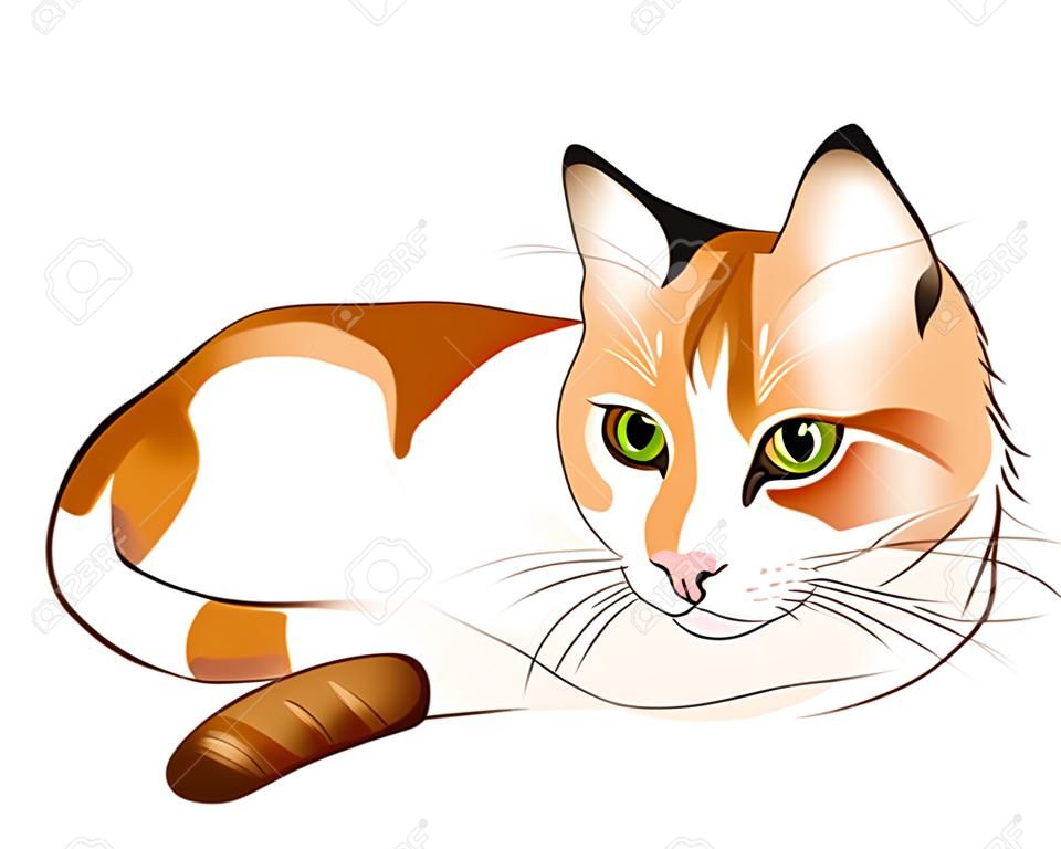생강 tabby 고양이의 손으로 그려진 된 초상화