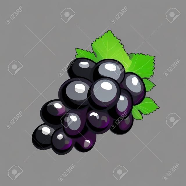 Icono de uvas aislado sobre fondo negro. Ilustración vectorial