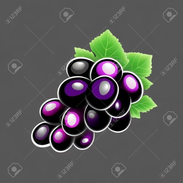Icono de uvas aislado sobre fondo negro. Ilustración vectorial