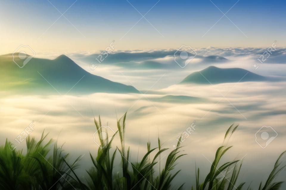 Beautiful landscape mountain view with foggy in morning at countryside Thailand.