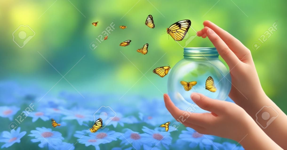 Dziewczyna uwalnia motyla ze słoika, złoty niebieski moment Pojęcie wolności