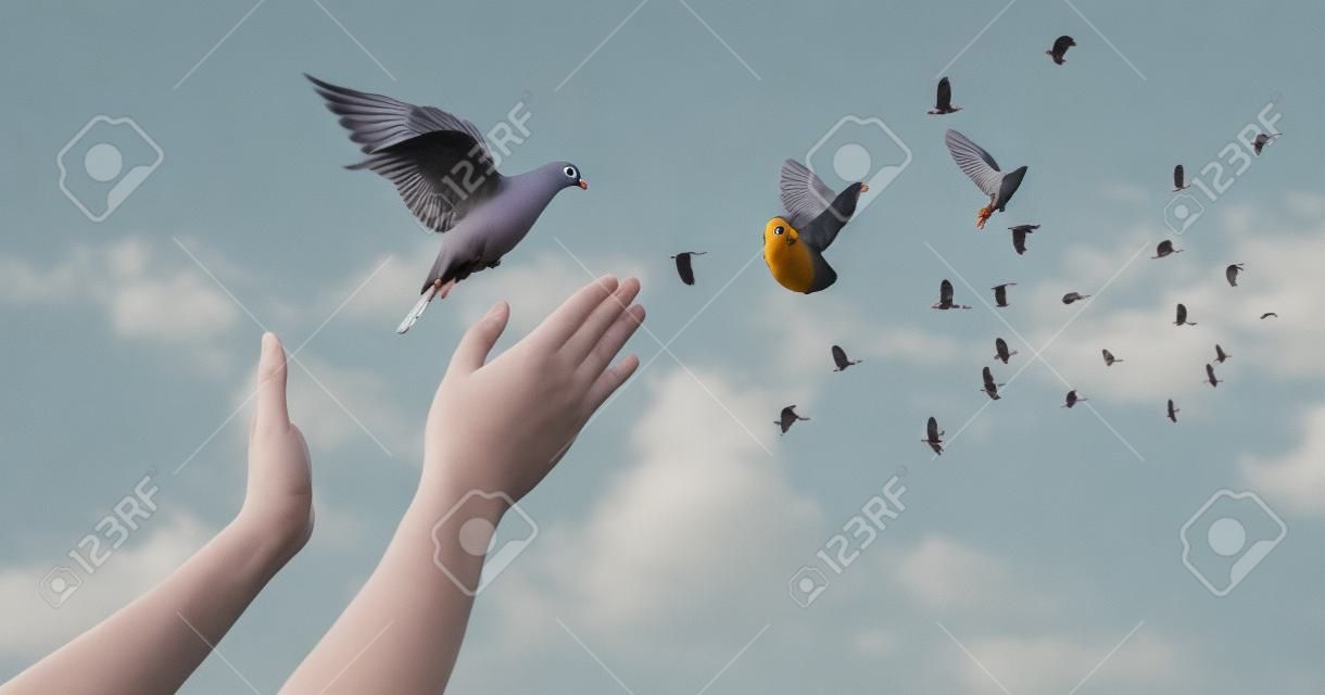 The woman hands free the pigeon into the sky.
